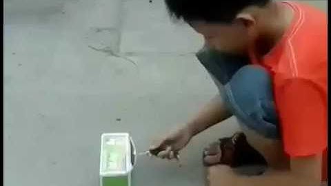 Khi trẻ trâu bắt trước intro của tuấn khó đỡ ngoài đời thật.