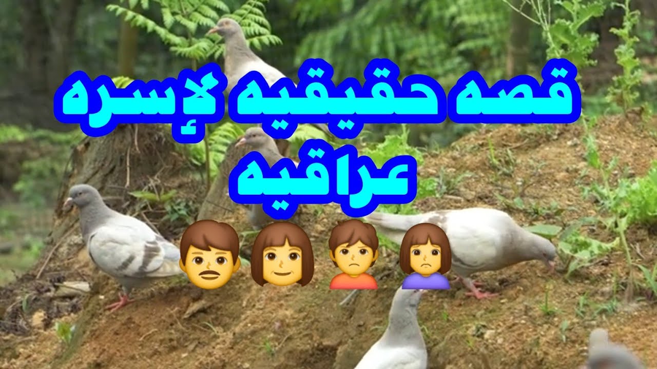 قصه حقيقيه لأسره عراقيه  👨👩🙎🙍‍♀️
