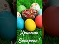 #shorts С Пасхой ! Христос Воскрес !