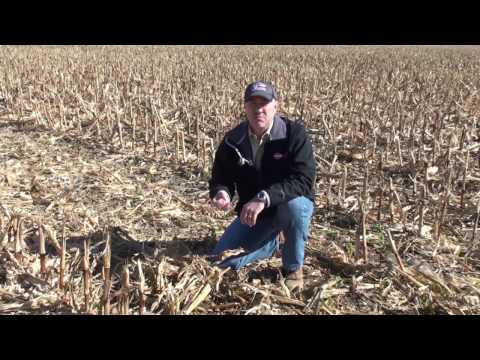 Profit Tillage Focus: