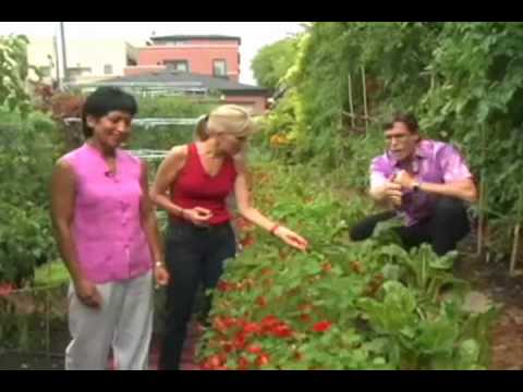 Real Mom Beth Aldrich with Chef Rick Bayless - Par...