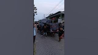 bantengan mengamuk dan mberot karnaval desa sambijajar #shortsvideo