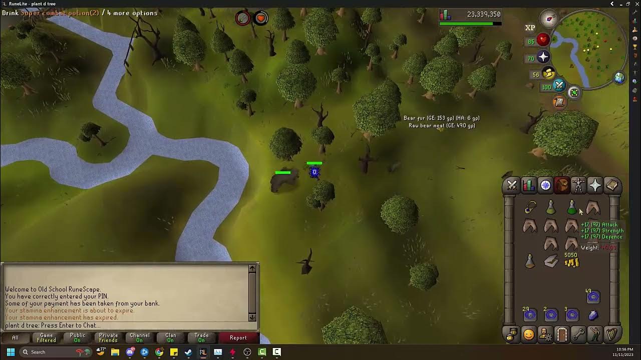In Search Of Knowledge Osrs Quick Guide OSRS Quick Guide : Bears - YouTube
