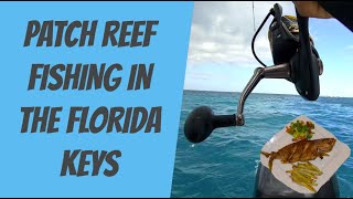 Patch Reef Fishing in the Florida Keys | Catch and Cook | EP 10