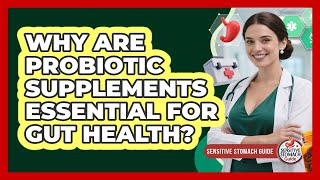 Why Are Probiotic Supplements Essential For Gut Health? - Sensitive Stomach Guide