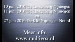 Multivox Life is Life 2010 concert-promo