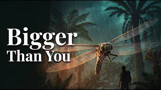 Information When Insects Became Bigger Than You. Update