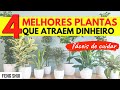 Feng Shui: 4 Melhores Plantas para Trazer DINHEIRO 🍀 (e fáceis de cuidar)