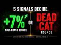 +7% bounce the day after the crash — real recovery or trap? #stoploss #marketsignals #stockanalysis