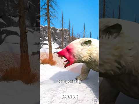 كيف يمكن لرذاذ الدب إنقاذ حياتك في مواجهة دب قطبي حقائق مخيفة الدب القطبي نجاة