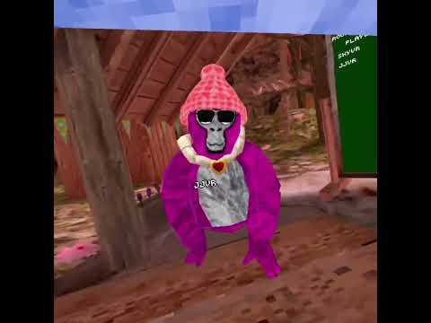 I played 20 questions with JJ Vr [Gorilla Tag]