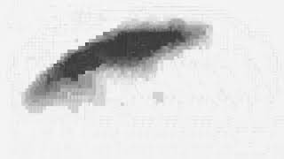 Funky Town Lowest Quality But Worse