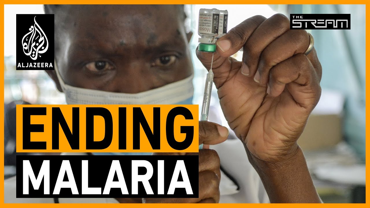 🦟 هل يمكننا القضاء على الملاريا في حياتنا؟ | ذا ستريم