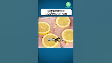 Loài cá tăng tốc 190km/h khiến cả cá mập cũng phải né #shorts #khamphavohan