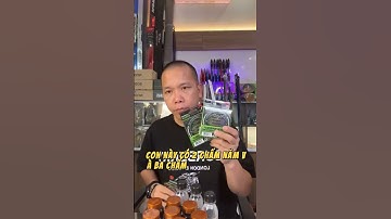 Bí Quyết Set Đồ Câu Chuyên Nghiệp Cho Mọi Loại Hồ Câu!