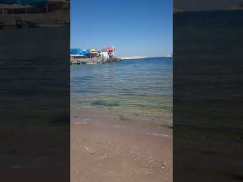 Harika bir güzellik Kurucaşile 😎