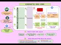 Kubernetes RBAC Simplified: Roles, ClusterRoles, and Service Accounts Guide