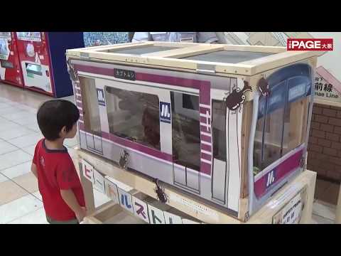 地下鉄駅長室前でカブト虫100匹飼育 子どもらに観察の機会を