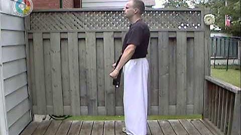 Taekwondo: Hapkido: Foundations: double low block, side view