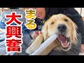 【釣りよかコラボ】まるにフリスビープレゼントしたら…