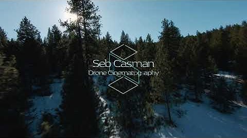 DJI FPV | Dodging Trees (Almost)