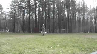 Olympia Kennels Dog Obedience Chester Nh Grim - Before