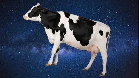 Lethal Company Compilation pt 2