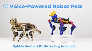 Do Your Pets Follow Commands Like Petoi's Robot Pets?'