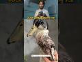 The great rescue in history #viral #youtubeshorts #youtubefeed #youtube #entertainment