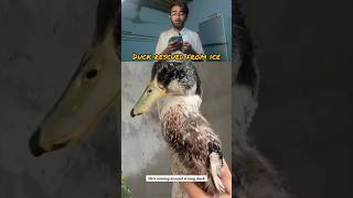 The great rescue in history #viral #youtubeshorts #youtubefeed #youtube #entertainment