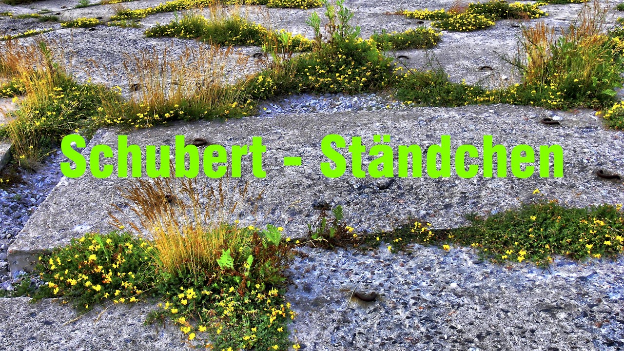 Schubert - Ständchen - Peter Schreier, Konrad Ragossnig (guitar)