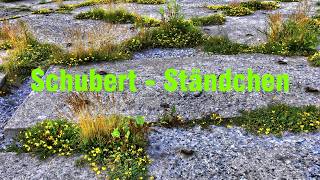 Schubert - Ständchen - Peter Schreier, Konrad Ragossnig Guitar