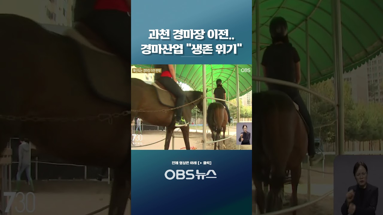 과천 경마장 이전.. 경마산업 "생존 위기" #쇼츠 #경기도 #과천 #경마장 #레저 #스포츠