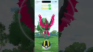 #DiaryIncense ขยันอัญเชิญ #Galar #Moltres มาถี่อยู่นะ แต่ขยันบินบ่อยกว่า #Pokemon #PokemonGO