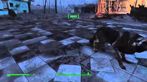 Item Dupe Glitch Fallout 4: Infinite SPECIAL point