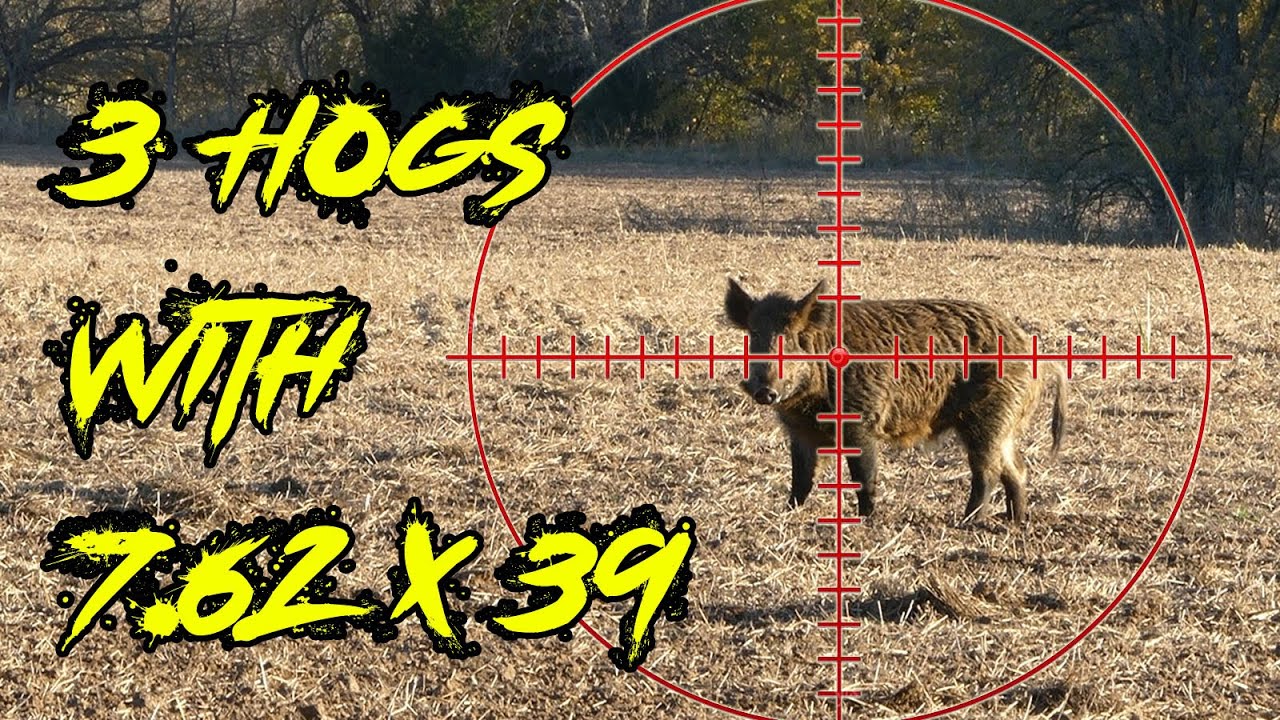 Охота на кабана с Ruger American Ranch 7.62x39!