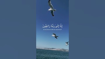 عَسَى رَبُّنَا أَنْ يُبْدِلَنَا خَيْرًا مِنْهَا | سورة القلم