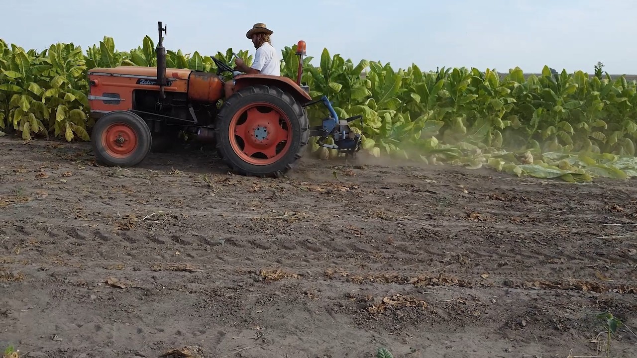 ESŐTÁNC | 17. rész | Lesz elég hely? |