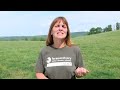 Reel Life at Farm Sanctuary - Ep. 8 - The Mother and Calf Bond