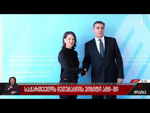 შეხვედრა გერმანიის საგარეო საქმეთა მინისტრთან