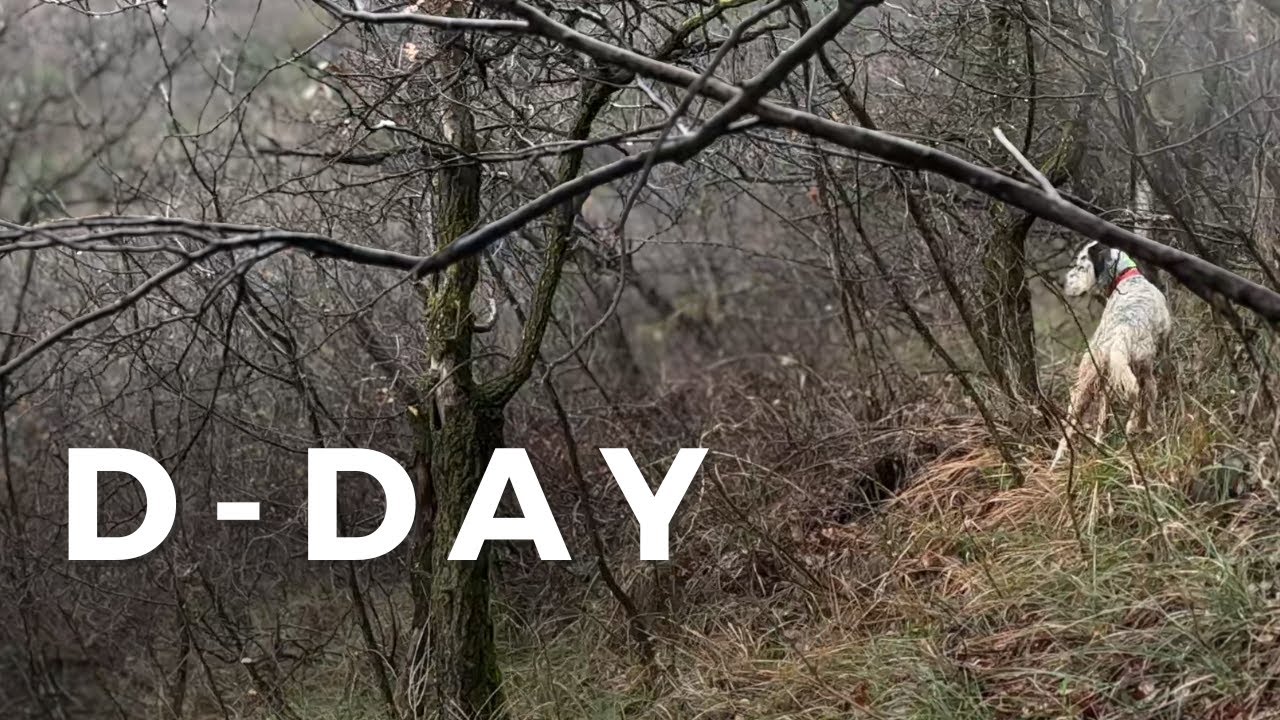 Nelle Valli Bresciane – Episodio 31 | D-DAY