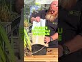 Comment planter facilement dans un bassin? La plupart des jardineries aquatiques (d’ailleurs, c’est