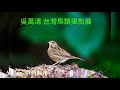Ailin華南銀行西三重 文化之旅 の動画、YouTube動画。