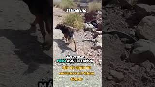 les muestro un ojo de agua en carretera a Palma Gorda Coahuila