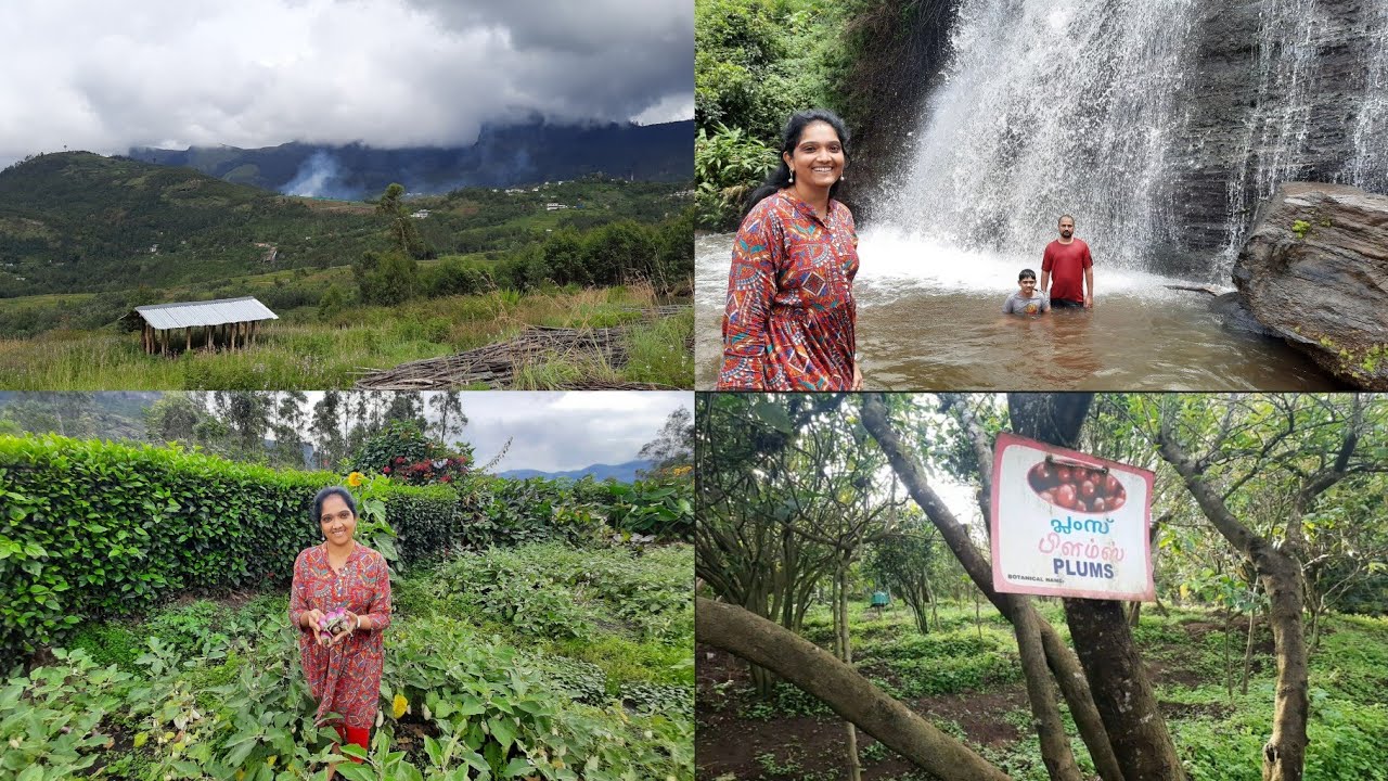 Places to visit at Kanthalloor Kacharam WaterfallsLemon Grass Valley