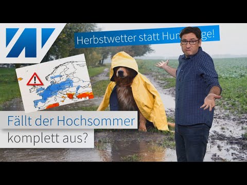 Video: Worum Geht Es In Dem Film 