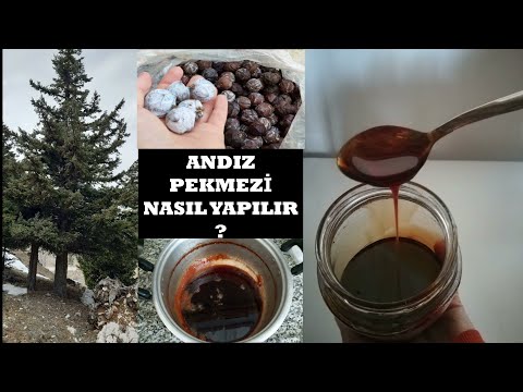 Andız Pekmezi Nasıl Yapılır? Faydaları Nedir?