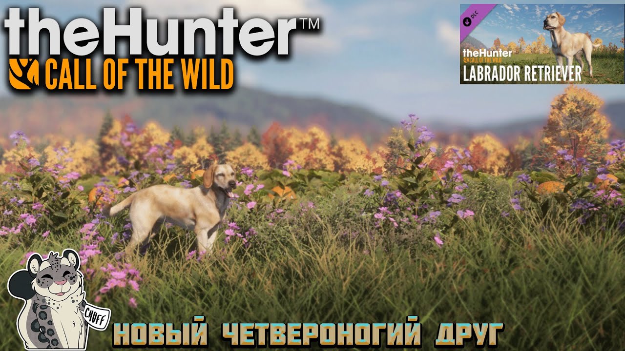 Первый взгляд на DLC (Labrador Retriever) в "theHunter Call of the Wild"