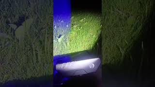 REAL LIFE IRON DOME! Testing the Laser Mosquito Defense System 🦟🚫