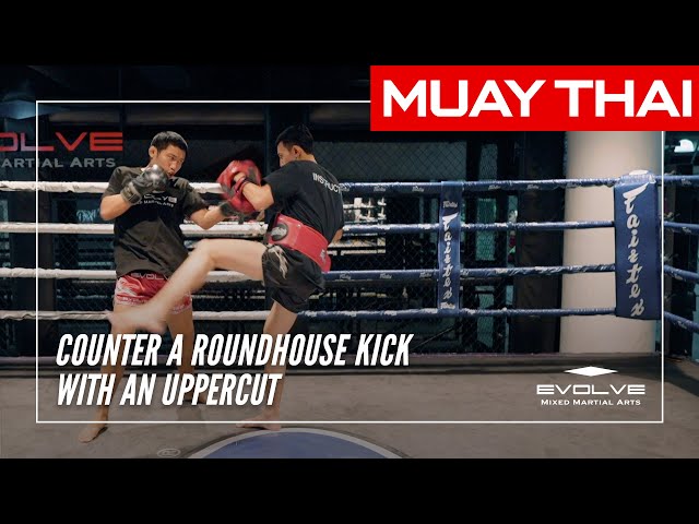 Muay Thai  How To Counter A Roundhouse Kick With An Uppercut 